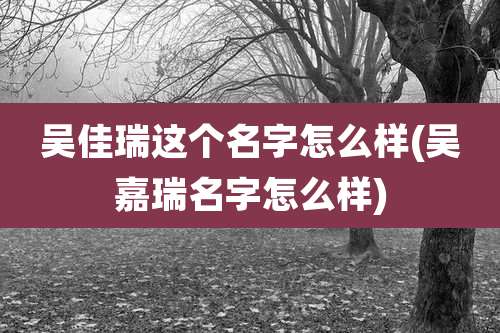吴佳瑞这个名字怎么样(吴嘉瑞名字怎么样)