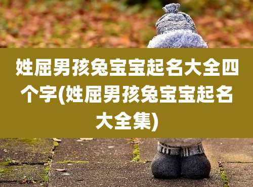 姓屈男孩兔宝宝起名大全四个字(姓屈男孩兔宝宝起名大全集)