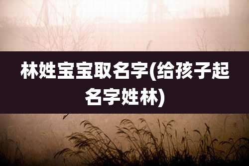 林姓宝宝取名字(给孩子起名字姓林)