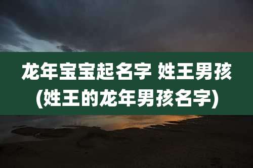 龙年宝宝起名字 姓王男孩(姓王的龙年男孩名字)
