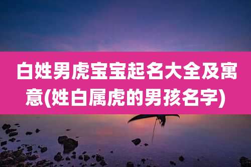 白姓男虎宝宝起名大全及寓意(姓白属虎的男孩名字)