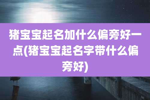 猪宝宝起名加什么偏旁好一点(猪宝宝起名字带什么偏旁好)