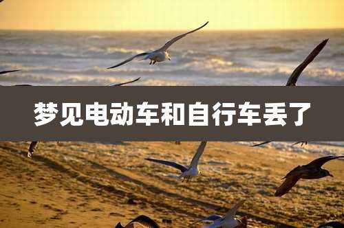 梦见电动车和自行车丢了