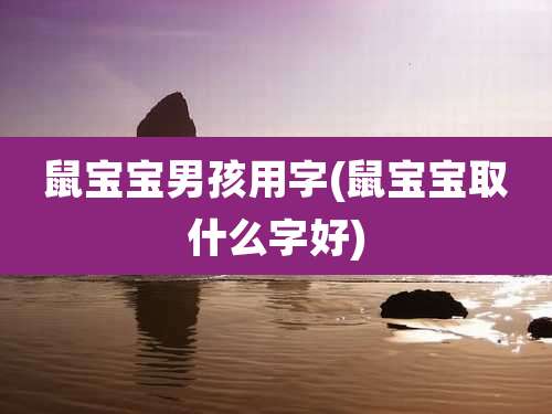 鼠宝宝男孩用字(鼠宝宝取什么字好)