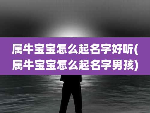 属牛宝宝怎么起名字好听(属牛宝宝怎么起名字男孩)