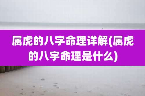 属虎的八字命理详解(属虎的八字命理是什么)