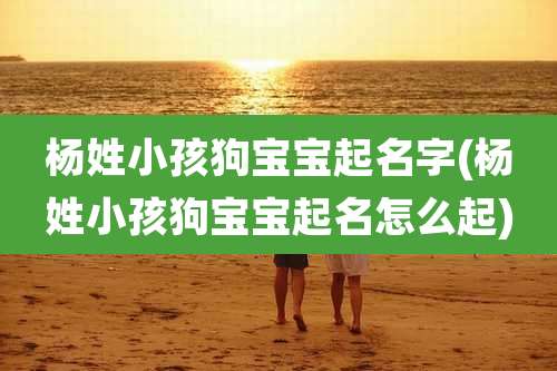 杨姓小孩狗宝宝起名字(杨姓小孩狗宝宝起名怎么起)