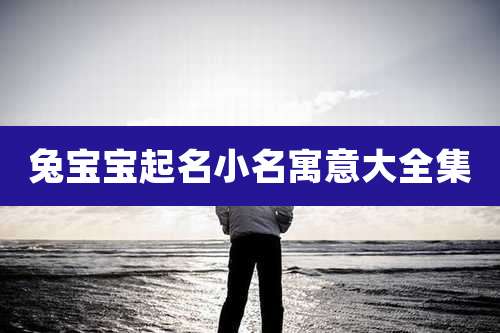 兔宝宝起名小名寓意大全集