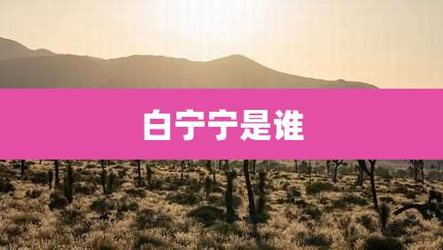 白宁宁是谁