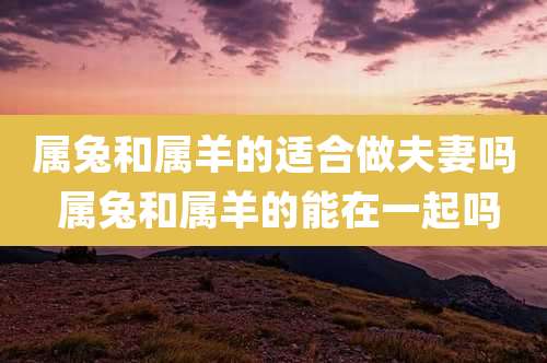 属兔和属羊的适合做夫妻吗 属兔和属羊的能在一起吗