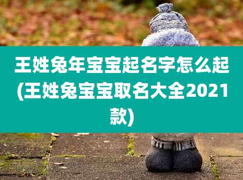 王姓兔年宝宝起名字怎么起(王姓兔宝宝取名大全2021款)