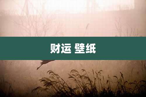 财运 壁纸