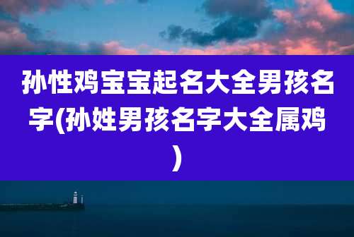 孙性鸡宝宝起名大全男孩名字(孙姓男孩名字大全属鸡)