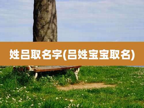 姓吕取名字(吕姓宝宝取名)