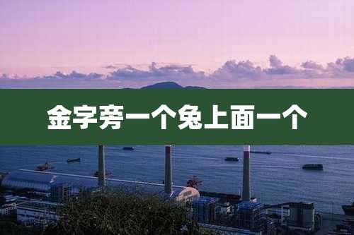 金字旁一个兔上面一个