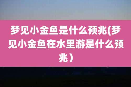 梦见小金鱼是什么预兆(梦见小金鱼在水里游是什么预兆)