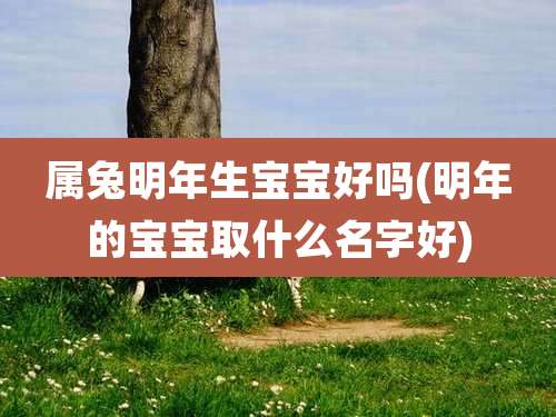 属兔明年生宝宝好吗(明年的宝宝取什么名字好)