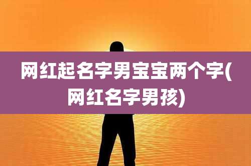 网红起名字男宝宝两个字(网红名字男孩)