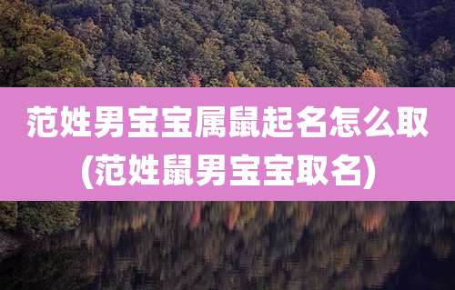 范姓男宝宝属鼠起名怎么取(范姓鼠男宝宝取名)