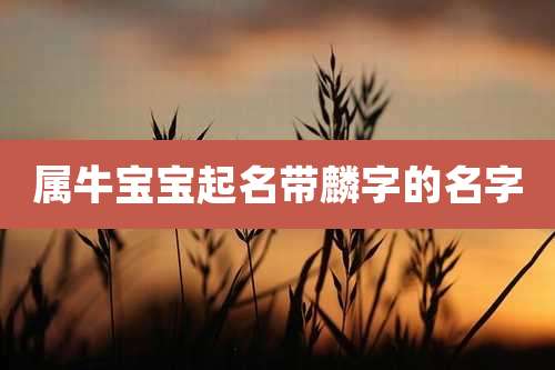 属牛宝宝起名带麟字的名字