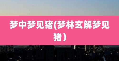 梦中梦见猪(梦林玄解梦见猪）