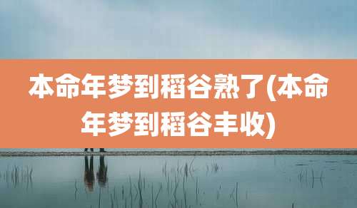 本命年梦到稻谷熟了(本命年梦到稻谷丰收)