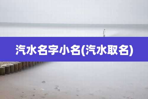 汽水名字小名(汽水取名)