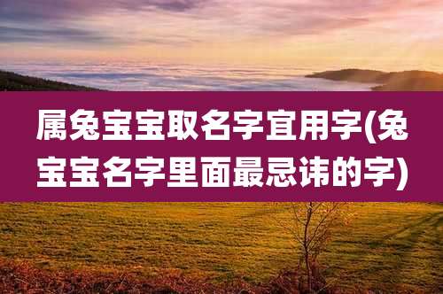 属兔宝宝取名字宜用字(兔宝宝名字里面最忌讳的字)