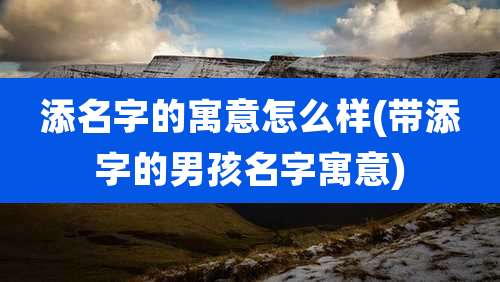 添名字的寓意怎么样(带添字的男孩名字寓意)