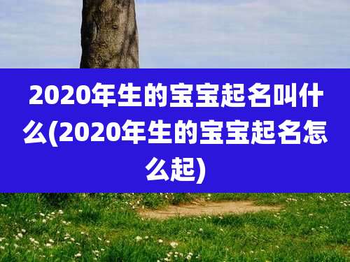 2020年生的宝宝起名叫什么(2020年生的宝宝起名怎么起)