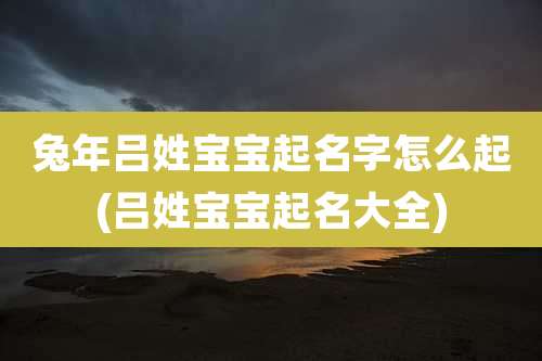 兔年吕姓宝宝起名字怎么起(吕姓宝宝起名大全)