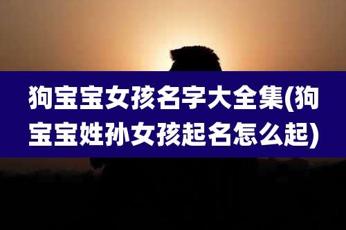 狗宝宝女孩名字大全集(狗宝宝姓孙女孩起名怎么起)
