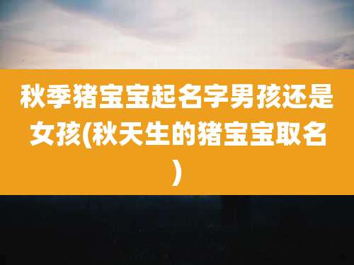秋季猪宝宝起名字男孩还是女孩(秋天生的猪宝宝取名)