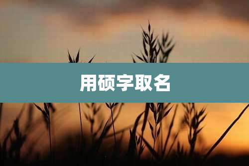 用硕字取名