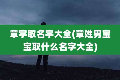 章字取名字大全(章姓男宝宝取什么名字大全)