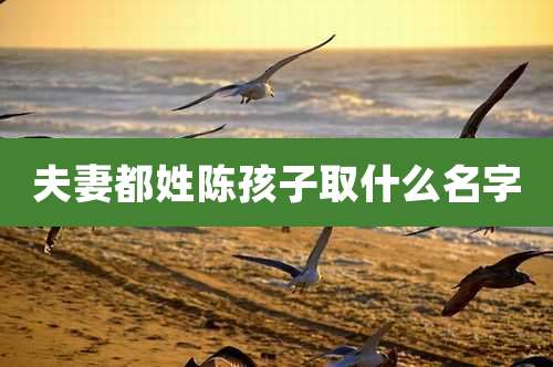 夫妻都姓陈孩子取什么名字