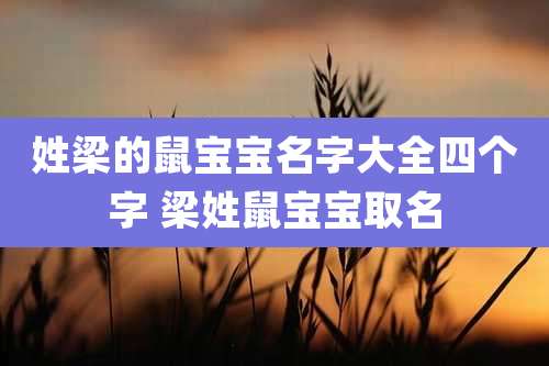 姓梁的鼠宝宝名字大全四个字 梁姓鼠宝宝取名