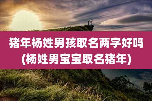 猪年杨姓男孩取名两字好吗(杨姓男宝宝取名猪年)