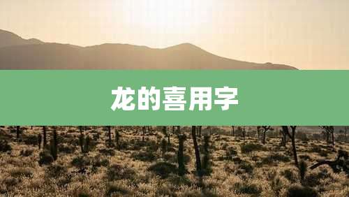 龙的喜用字