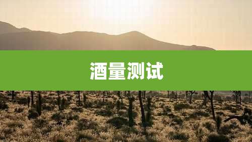 酒量测试