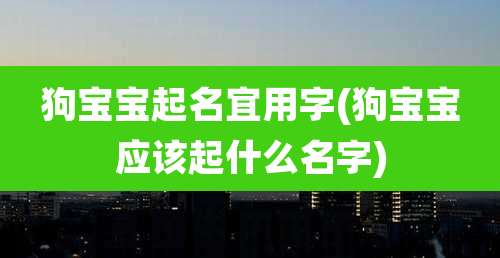 狗宝宝起名宜用字(狗宝宝应该起什么名字)