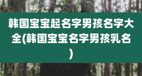 韩国宝宝起名字男孩名字大全(韩国宝宝名字男孩乳名)