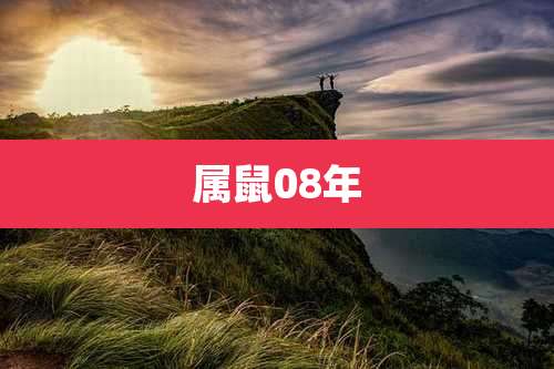 属鼠08年