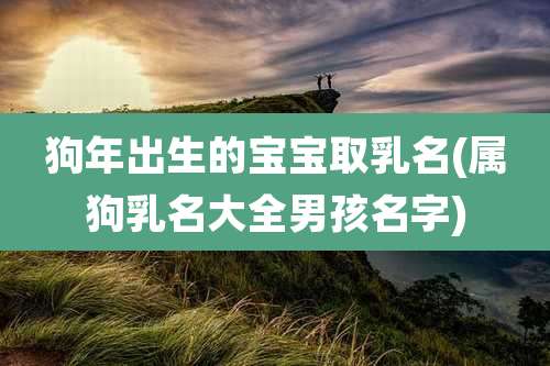 狗年出生的宝宝取乳名(属狗乳名大全男孩名字)