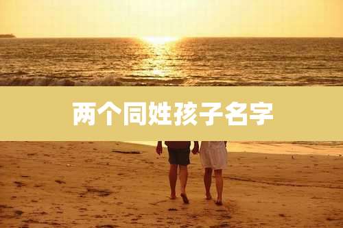 两个同姓孩子名字