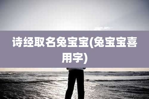 诗经取名兔宝宝(兔宝宝喜用字)