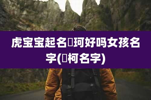虎宝宝起名璟珂好吗女孩名字(璟柯名字)