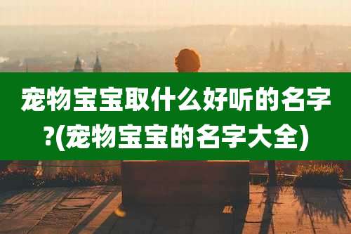 宠物宝宝取什么好听的名字?(宠物宝宝的名字大全)