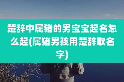 楚辞中属猪的男宝宝起名怎么起(属猪男孩用楚辞取名字)