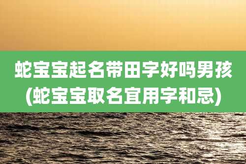蛇宝宝起名带田字好吗男孩(蛇宝宝取名宜用字和忌)